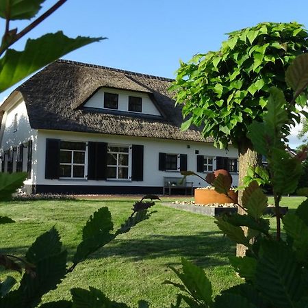 Mimosa Bed & Breakfast In Ijsselmuiden Kültér fotó